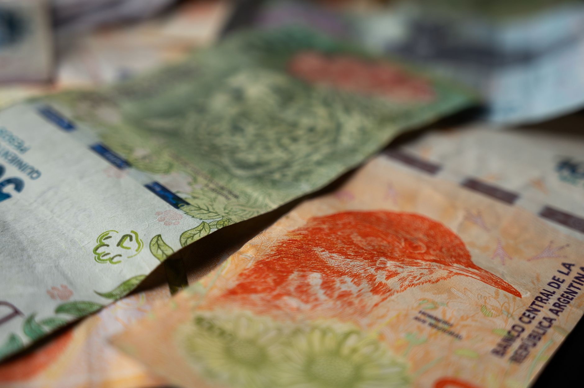 Detalle de billetes argentinos